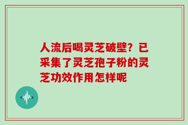 人流后喝灵芝破壁？已采集了灵芝孢子粉的灵芝功效作用怎样呢