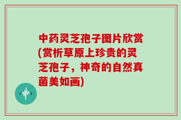 灵芝孢子图片欣赏(赏析草原上珍贵的灵芝孢子，神奇的自然真菌美如画)