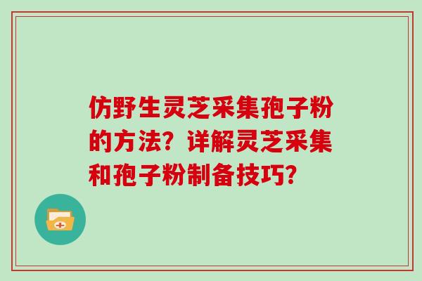 仿野生灵芝采集孢子粉的方法？详解灵芝采集和孢子粉制备技巧？