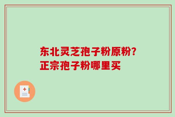 东北灵芝孢子粉原粉？正宗孢子粉哪里买