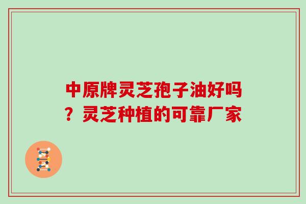 中原牌灵芝孢子油好吗？灵芝种植的可靠厂家
