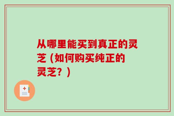 从哪里能买到真正的灵芝 (如何购买纯正的灵芝？)