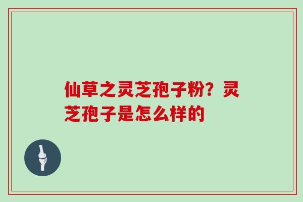 仙草之灵芝孢子粉？灵芝孢子是怎么样的