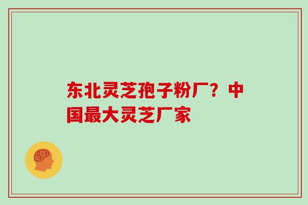 东北灵芝孢子粉厂？中国大灵芝厂家