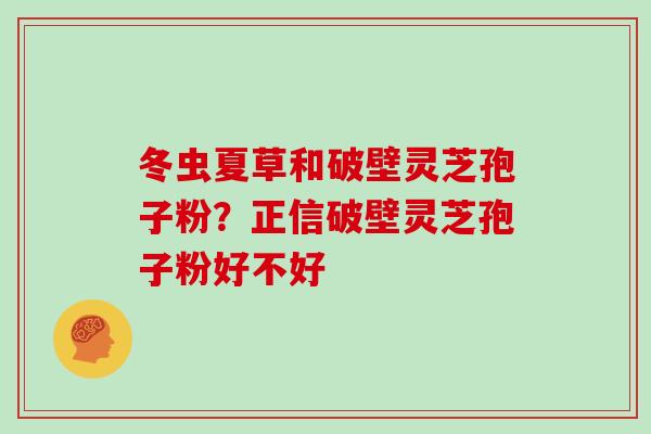 冬虫夏草和破壁灵芝孢子粉？正信破壁灵芝孢子粉好不好