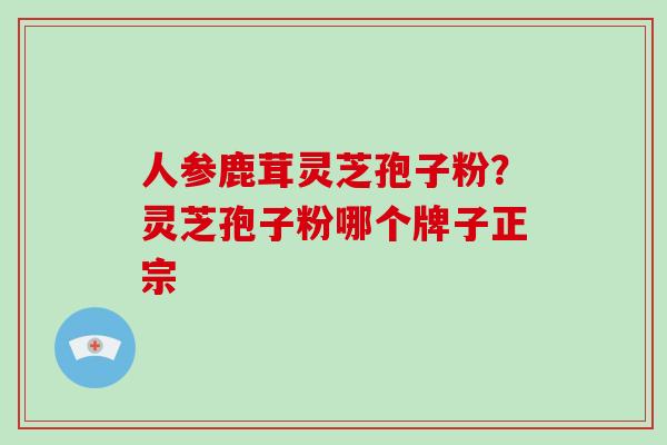 人参鹿茸灵芝孢子粉？灵芝孢子粉哪个牌子正宗