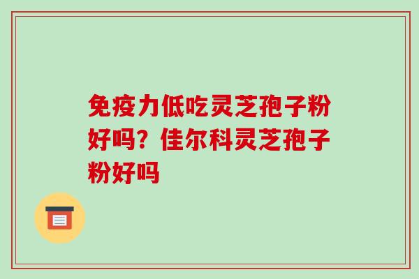 免疫力低吃灵芝孢子粉好吗？佳尔科灵芝孢子粉好吗