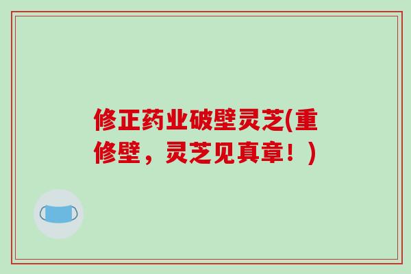 修正药业破壁灵芝(重修壁，灵芝见真章！)
