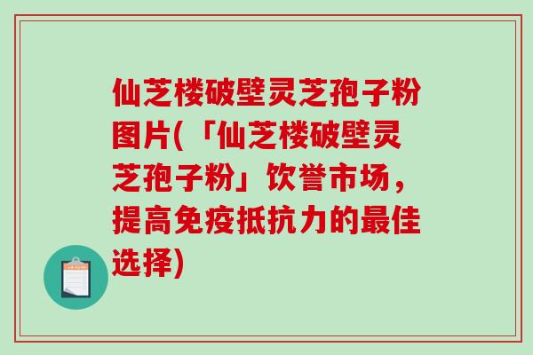 仙芝楼破壁灵芝孢子粉图片(「仙芝楼破壁灵芝孢子粉」饮誉市场，提高免疫抵抗力的佳选择)