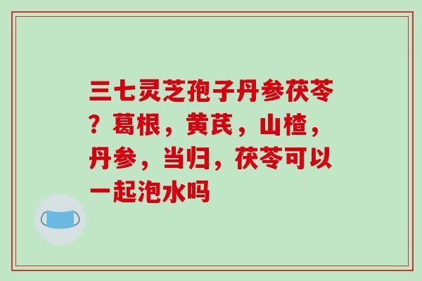 三七灵芝孢子丹参茯苓？葛根，黄芪，山楂，丹参，当归，茯苓可以一起泡水吗