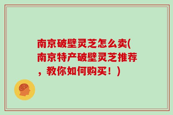 南京破壁灵芝怎么卖(南京特产破壁灵芝推荐，教你如何购买！)