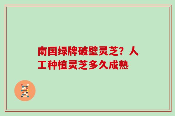 南国绿牌破壁灵芝？人工种植灵芝多久成熟