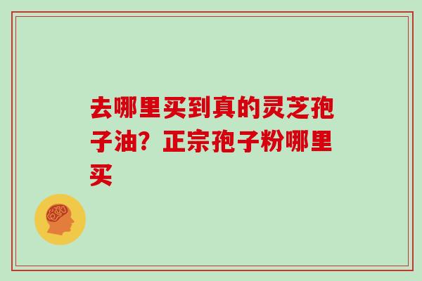 去哪里买到真的灵芝孢子油？正宗孢子粉哪里买