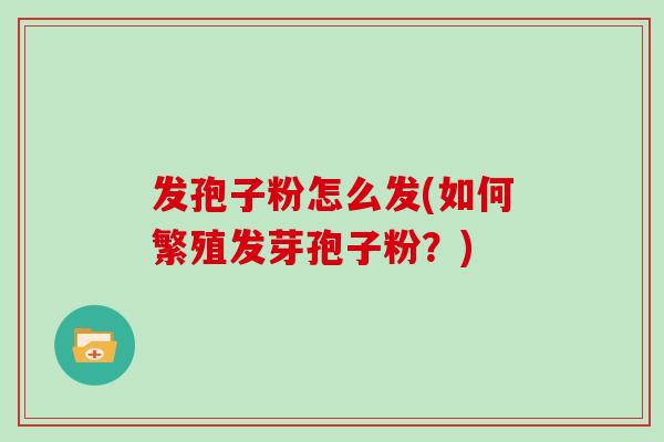 发孢子粉怎么发(如何繁殖发芽孢子粉？)
