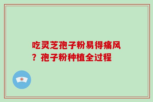 吃灵芝孢子粉易得痛风？孢子粉种植全过程