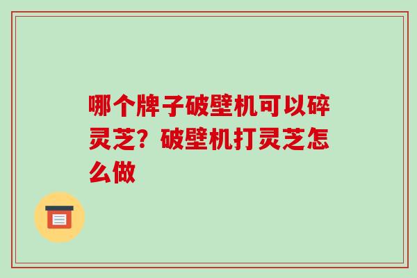 哪个牌子破壁机可以碎灵芝？破壁机打灵芝怎么做