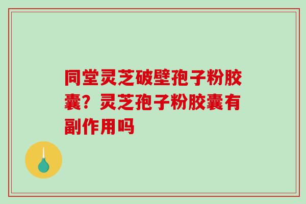 同堂灵芝破壁孢子粉胶囊？灵芝孢子粉胶囊有副作用吗