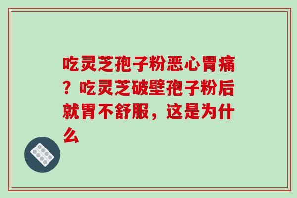 吃灵芝孢子粉恶心胃痛？吃灵芝破壁孢子粉后就胃不舒服，这是为什么
