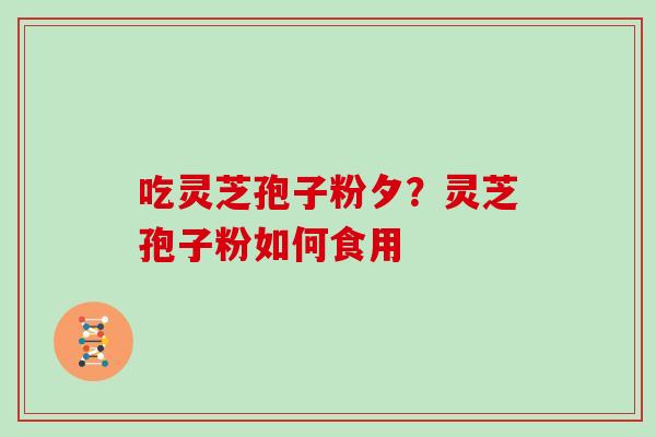 吃灵芝孢子粉夕？灵芝孢子粉如何食用