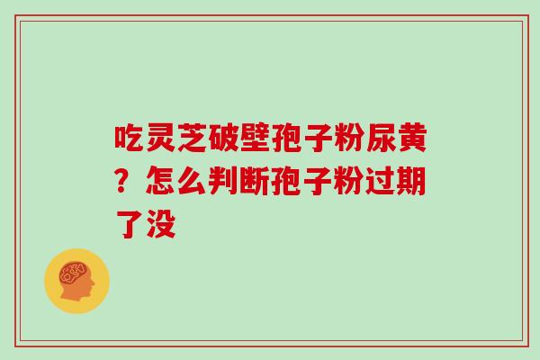 吃灵芝破壁孢子粉尿黄？怎么判断孢子粉过期了没