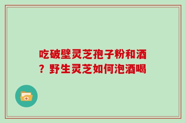 吃破壁灵芝孢子粉和酒？野生灵芝如何泡酒喝