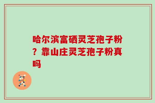 哈尔滨富硒灵芝孢子粉？靠山庄灵芝孢子粉真吗