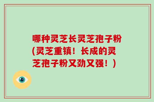 哪种灵芝长灵芝孢子粉(灵芝重镇！长成的灵芝孢子粉又劲又强！)