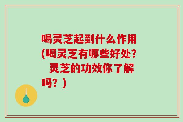 喝灵芝起到什么作用 (喝灵芝有哪些好处？  灵芝的功效你了解吗？)