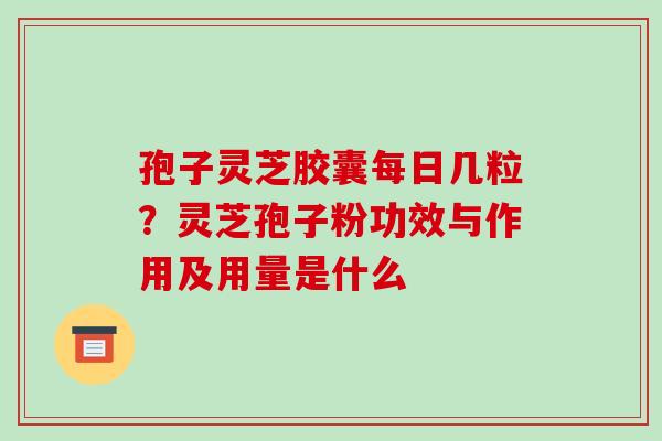 孢子灵芝胶囊每日几粒？灵芝孢子粉功效与作用及用量是什么