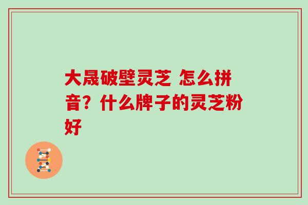 大晟破壁灵芝 怎么拼音？什么牌子的灵芝粉好