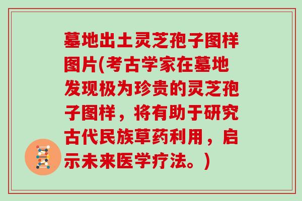 墓地出土灵芝孢子图样图片(考古学家在墓地发现极为珍贵的灵芝孢子图样，将有助于研究古代民族草药利用，启示未来医学疗法。)