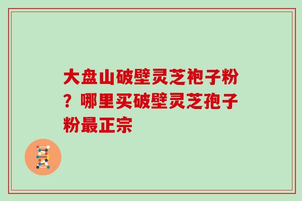 大盘山破壁灵芝袍子粉？哪里买破壁灵芝孢子粉正宗
