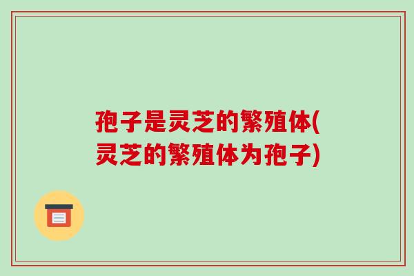 孢子是灵芝的繁殖体(灵芝的繁殖体为孢子)