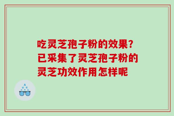 吃灵芝孢子粉的效果？已采集了灵芝孢子粉的灵芝功效作用怎样呢