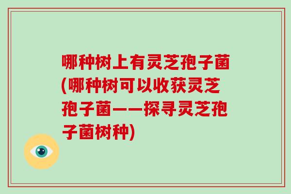 哪种树上有灵芝孢子菌(哪种树可以收获灵芝孢子菌——探寻灵芝孢子菌树种)
