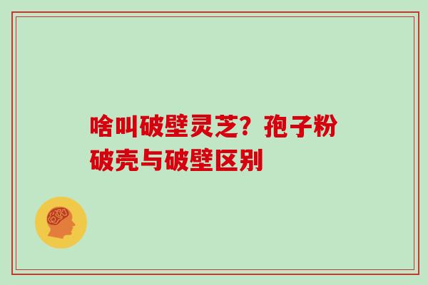 啥叫破壁灵芝？孢子粉破壳与破壁区别