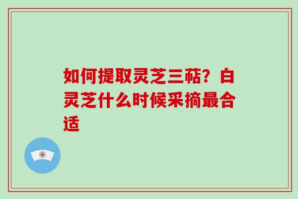 如何提取灵芝三萜？白灵芝什么时候采摘合适