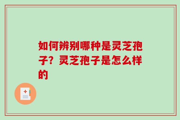 如何辨别哪种是灵芝孢子？灵芝孢子是怎么样的