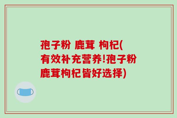 孢子粉 鹿茸 枸杞(有效补充营养!孢子粉鹿茸枸杞皆好选择)