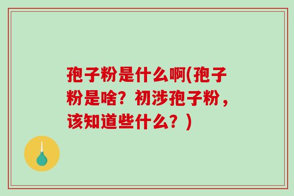 孢子粉是什么啊(孢子粉是啥?初涉孢子粉,该知道些什么?) 孢子粉是什么啊(孢子粉是啥?初涉孢子粉,该知道些什么?)