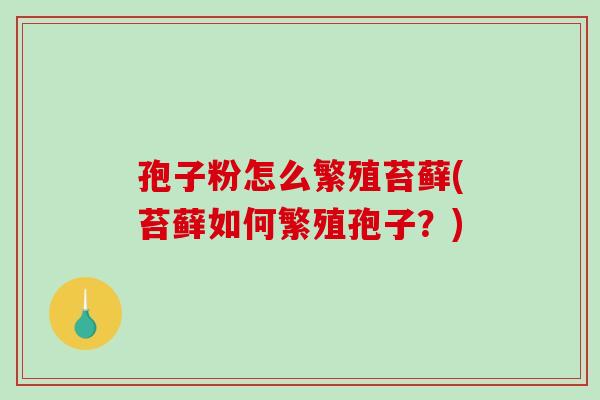 孢子粉怎么繁殖苔藓(苔藓如何繁殖孢子?) 孢子粉怎么繁殖苔藓(苔藓如何繁殖孢子?)