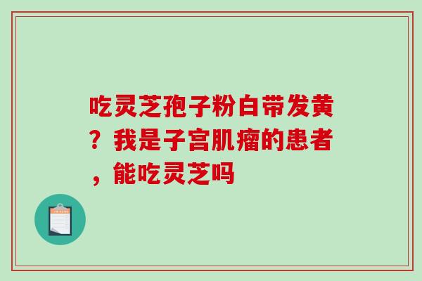 吃灵芝孢子粉白带发黄？我是子宫的患者，能吃灵芝吗