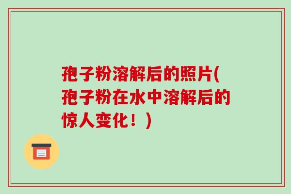 孢子粉溶解后的照片(孢子粉在水中溶解后的惊人变化！)