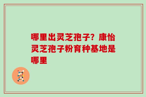 哪里出灵芝孢子？康怡灵芝孢子粉育种基地是哪里