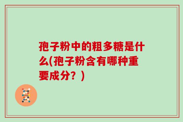 孢子粉中的粗多糖是什么(孢子粉含有哪种重要成分？)