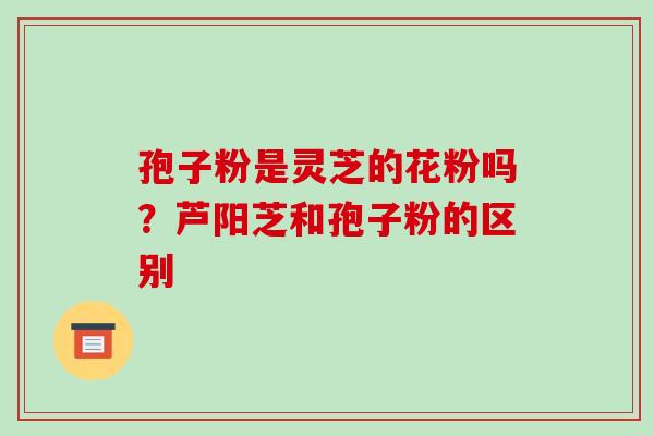 孢子粉是灵芝的花粉吗？芦阳芝和孢子粉的区别