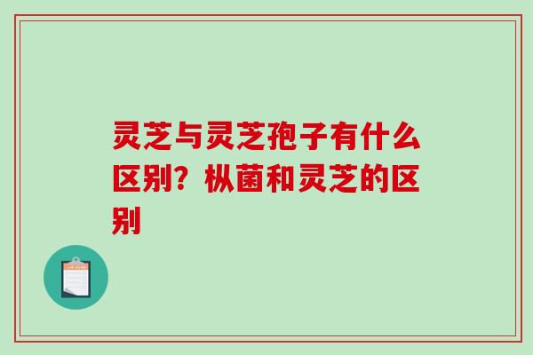 灵芝与灵芝孢子有什么区别？枞菌和灵芝的区别