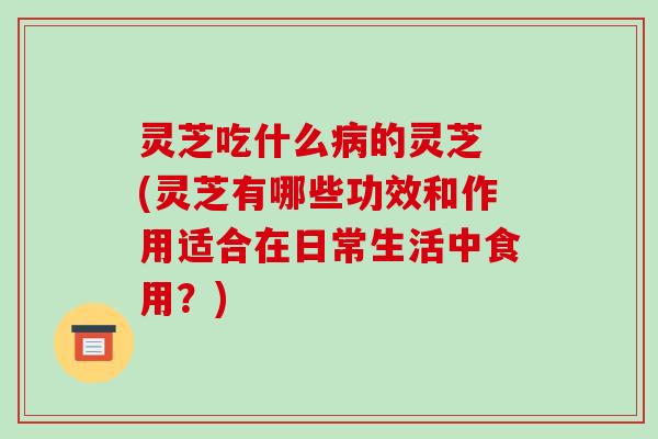 灵芝吃什么的灵芝 (灵芝有哪些功效和作用适合在日常生活中食用？)