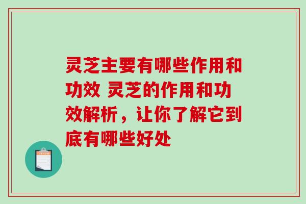 灵芝主要有哪些作用和功效 灵芝的作用和功效解析，让你了解它到底有哪些好处