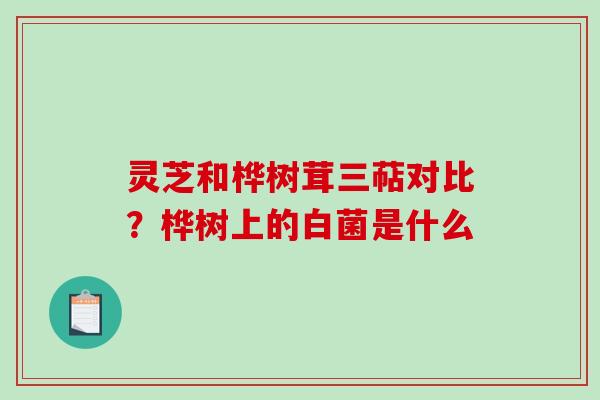 灵芝和桦树茸三萜对比？桦树上的白菌是什么